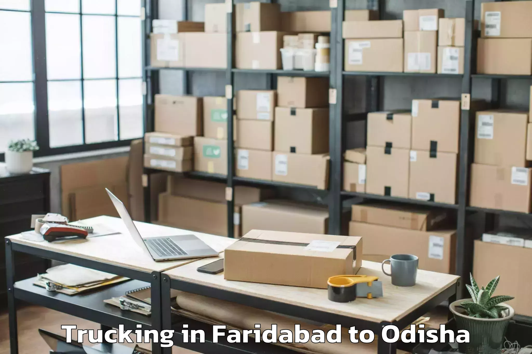 Book Faridabad to Baisinga Trucking Online